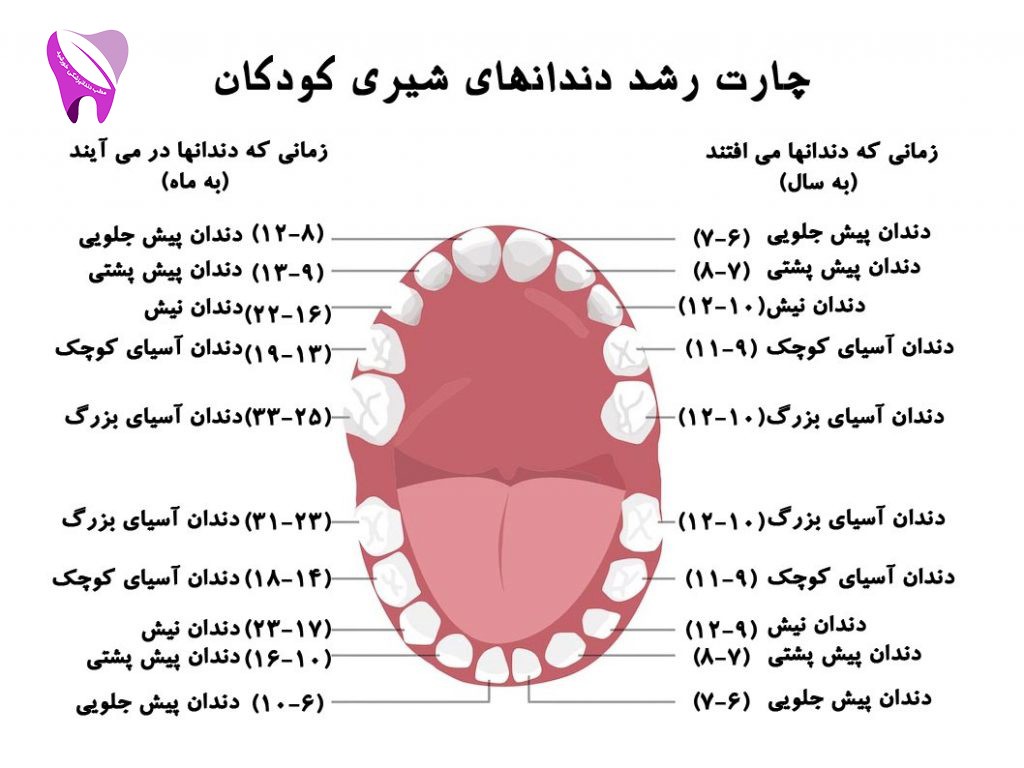 عواملی باعث تاخیر در رویش دندان شیری میشوند